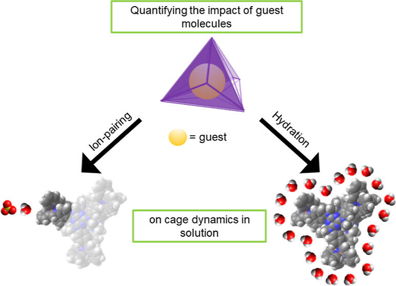 View of 213. Quantifying the Effect of Guest Binding on Host Environment